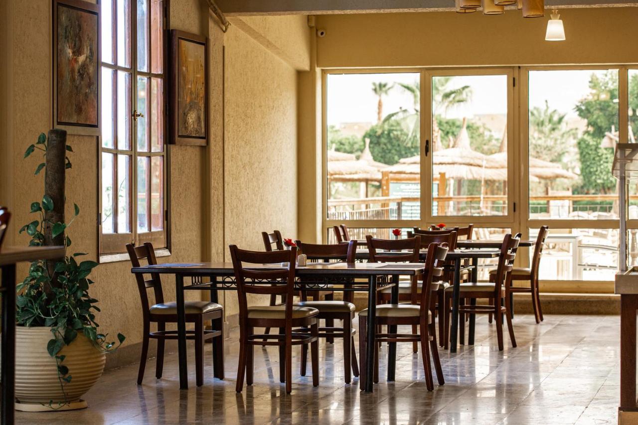 Otel Marina Wadi Degla 3*